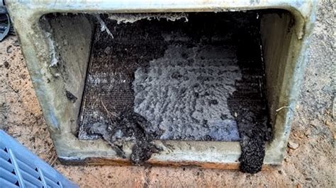 Dirty air handler coil showing heavy buildup before cleaning or replacement