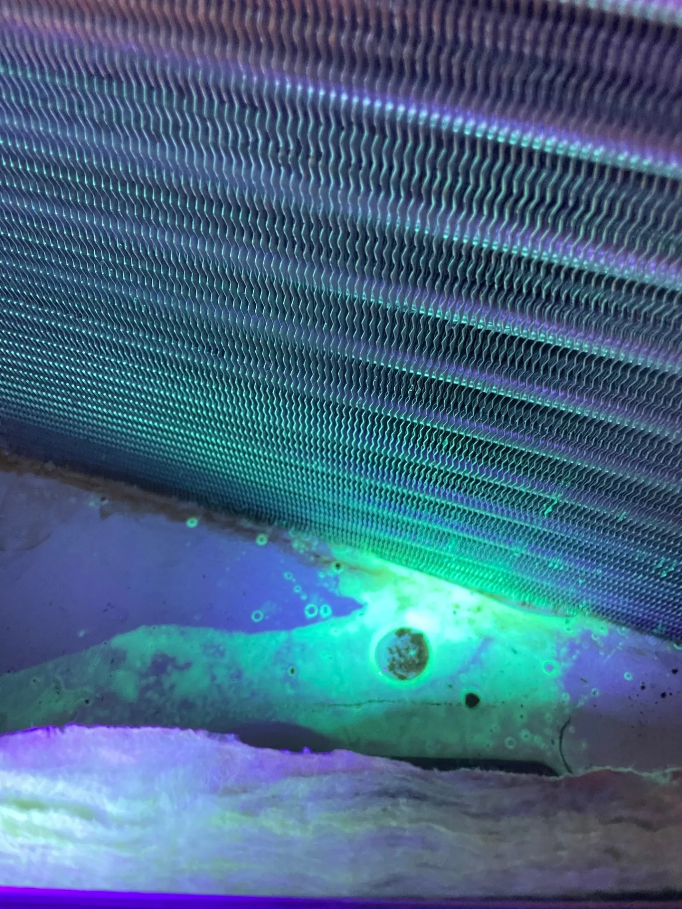 Close-up inspection photo of an evaporator coil under UV light